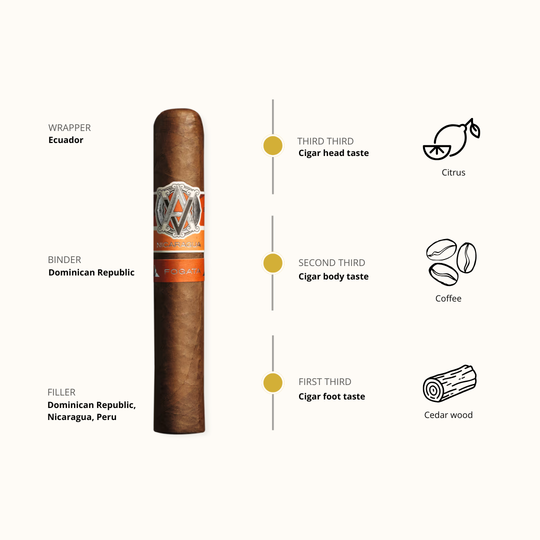 Avo Syncro Fogata Robusto