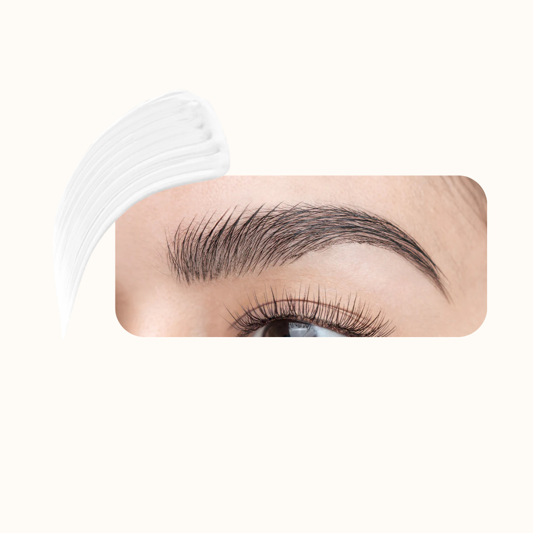 Brow fixer