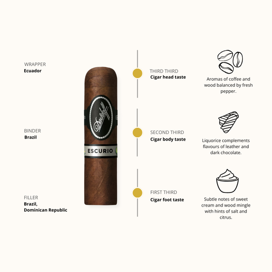 Davidoff Escurio Petit Robusto