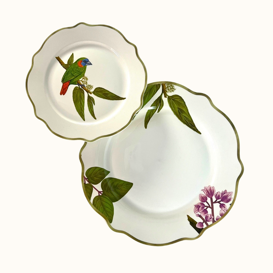 Ibon Collections Dinner & Salad Plates Set of 4