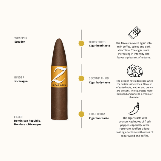 Zino Nicaragua Short Torpedo