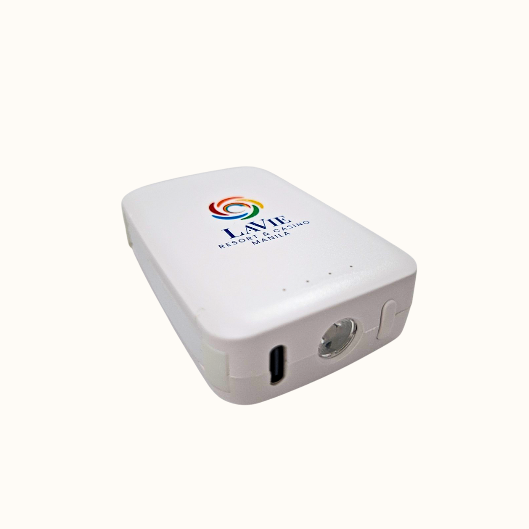 LaVie Keychain Powerbank